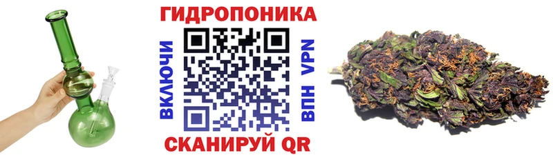 МАРИХУАНА тримм как найти наркотики Канаш